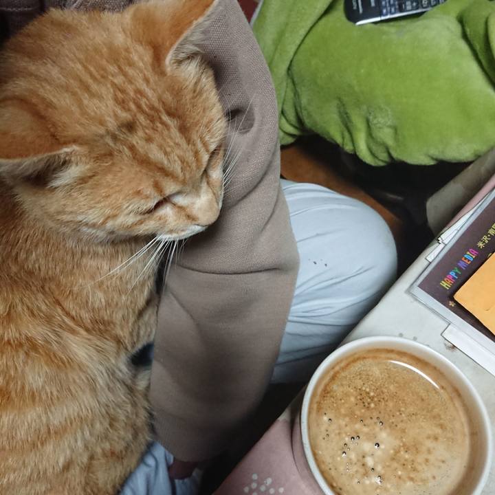 49744a67 6b08 4521 a213 b0fa76182c55 1588888409841