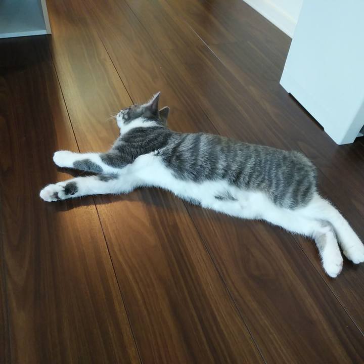 4974e8ae fa8e 4009 8bb0 db3afe62bf97 1567291402370