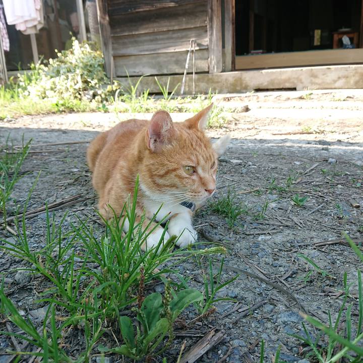 4974f086 2587 48cd a2d8 111eae5e933e 1598772530627