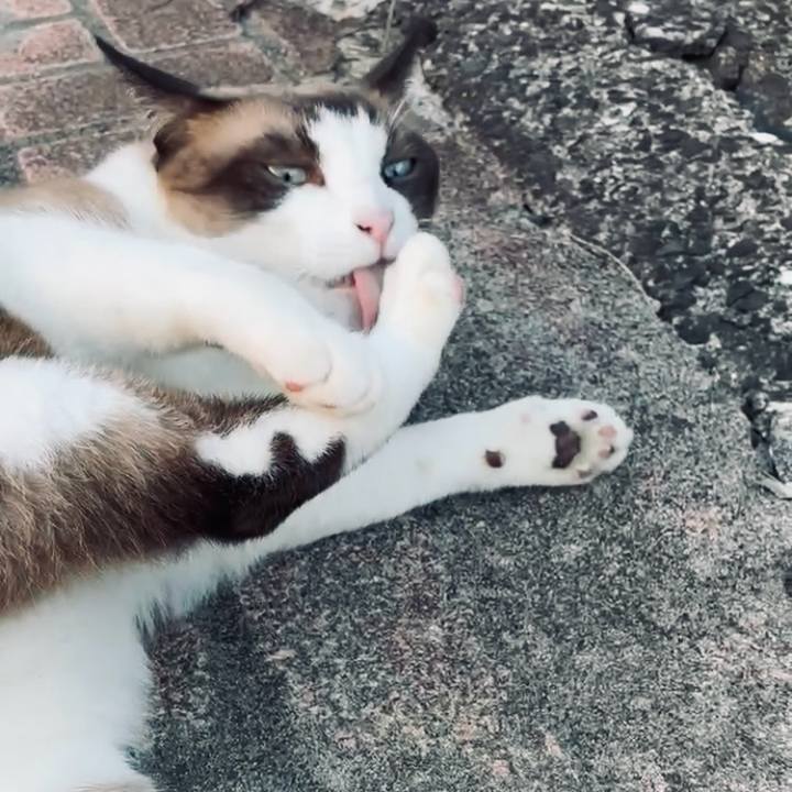 49751f66 95ea 44ef 9c16 c94d992cc11b 1757125818319