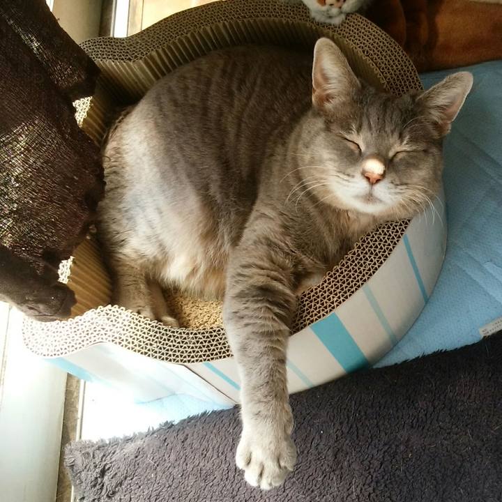 49752e01 9409 459a a332 2ae29a90d4f7 1554521936357