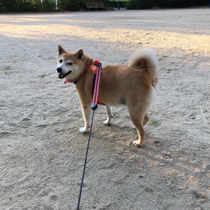 49755bcc b3a5 457a 8d73 5e16ce9ac664 1597661428843