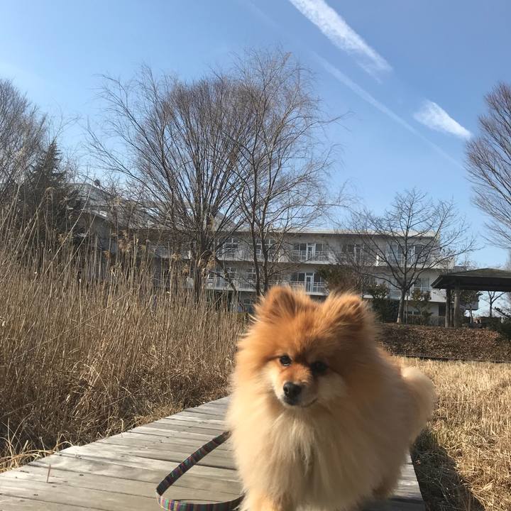 49758440 6f29 4d20 a915 4b4494238476 1518747281290