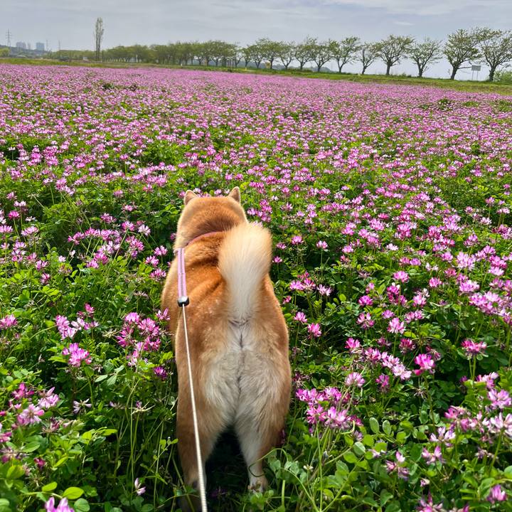 4975881c d83c 4b0c 8b6c 6797c292880e 1713916402882