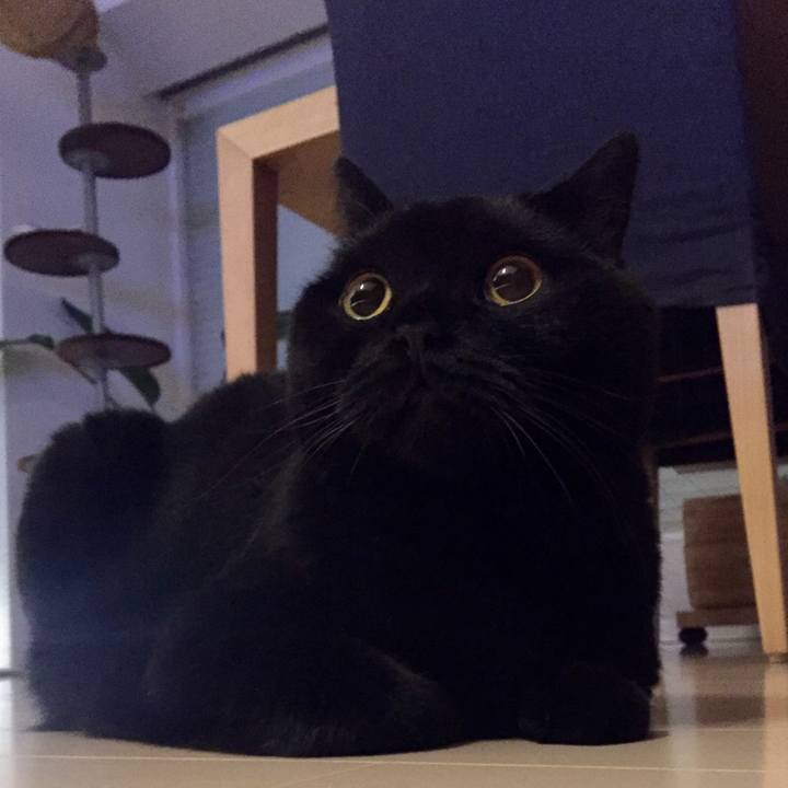 4975ff57 5b18 4f4e bdda 959ded9b8a46 1571402274340