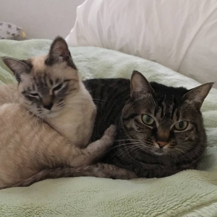 49761fb7 a5f8 45d7 8aad c5b143281639 1550043400517