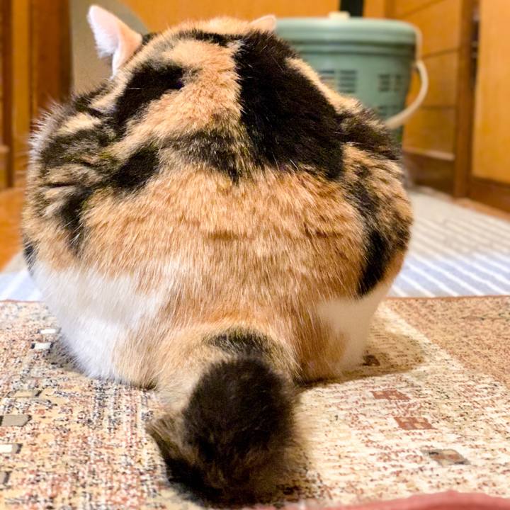 49765037 8304 4681 bedb d654f17907bc 1547257569239