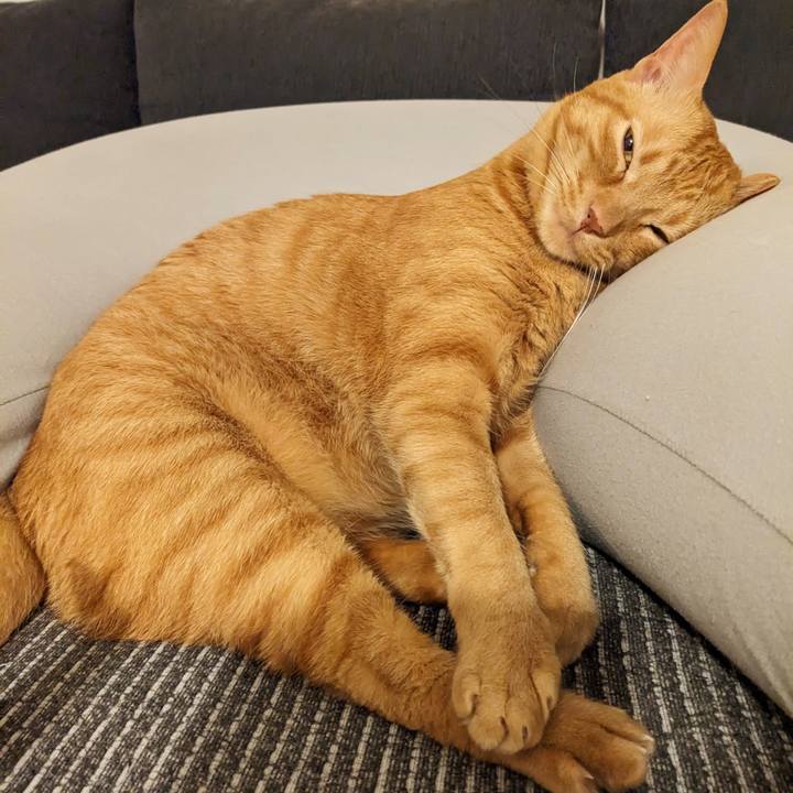 4976715f a559 47a7 a285 0ab6d0eaa31d 1682822574364