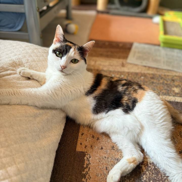 497680d8 d01b 4eb2 b632 a36793e60dde 1749349472029