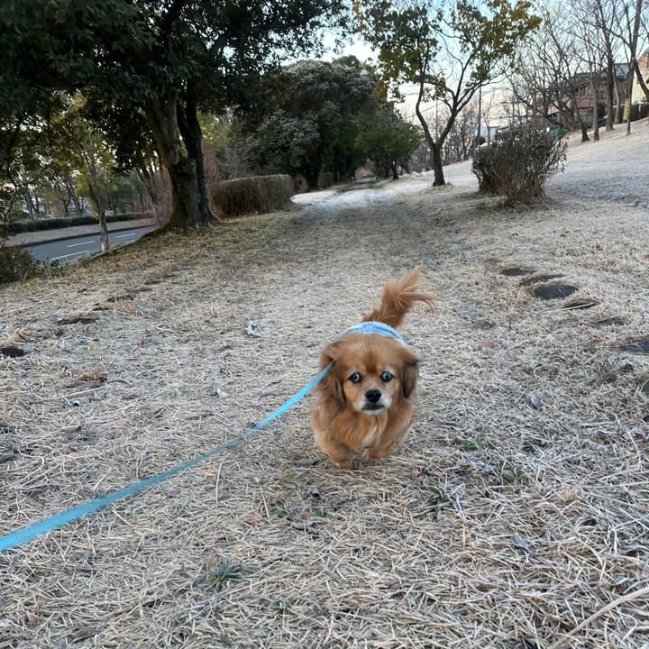 49768512 23a5 4214 a763 e175454d4370 1739076089174