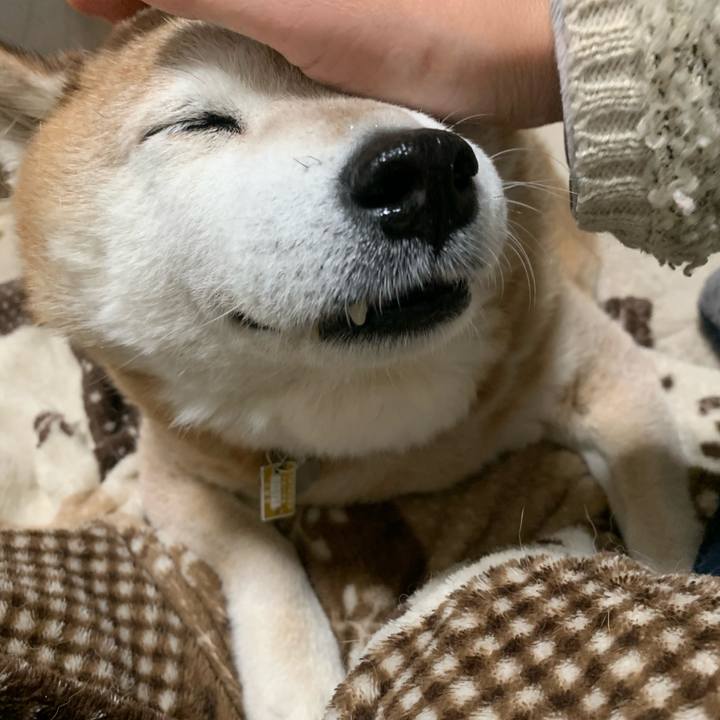 4976a9de a433 4025 bc90 2b522d43b93b 1581074181582