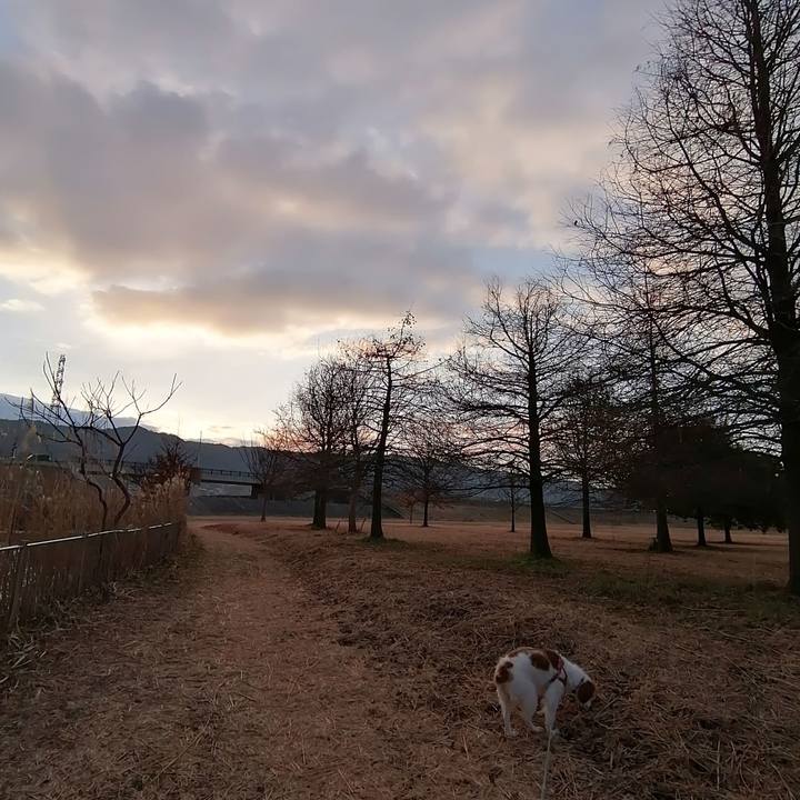 4976aa78 99bf 4573 8432 25b6effe9875 1612309946418