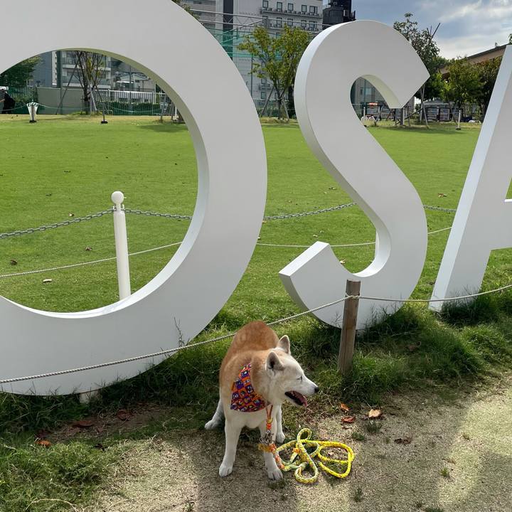 4976c55c 0636 4597 97fd 266e821939f6 1638919629823