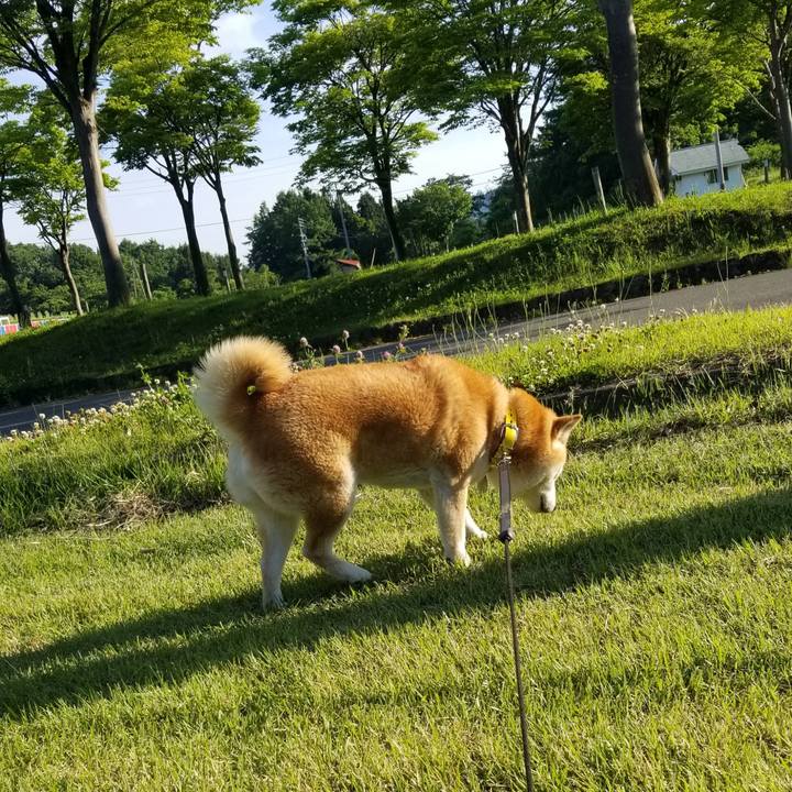 4976dab9 fb83 49c0 89ec 291a09930bb7 1685953203467