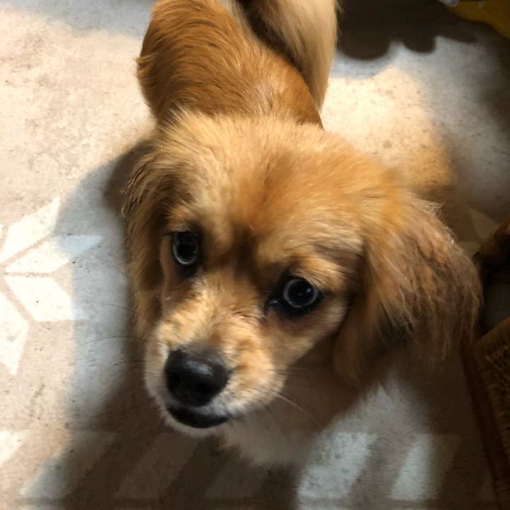 4976ef16 6a4c 468d ab8b d1286dcf670c 1524002967427