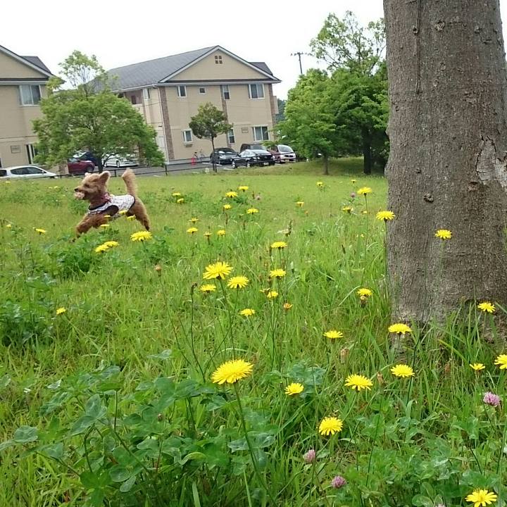 497719a4 de21 493e 8efd 4f940abeb801 1512337644047