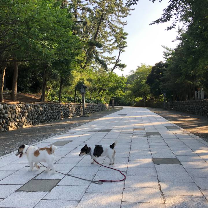 49771d76 9968 484b 9837 a4309559233e 1564616051204