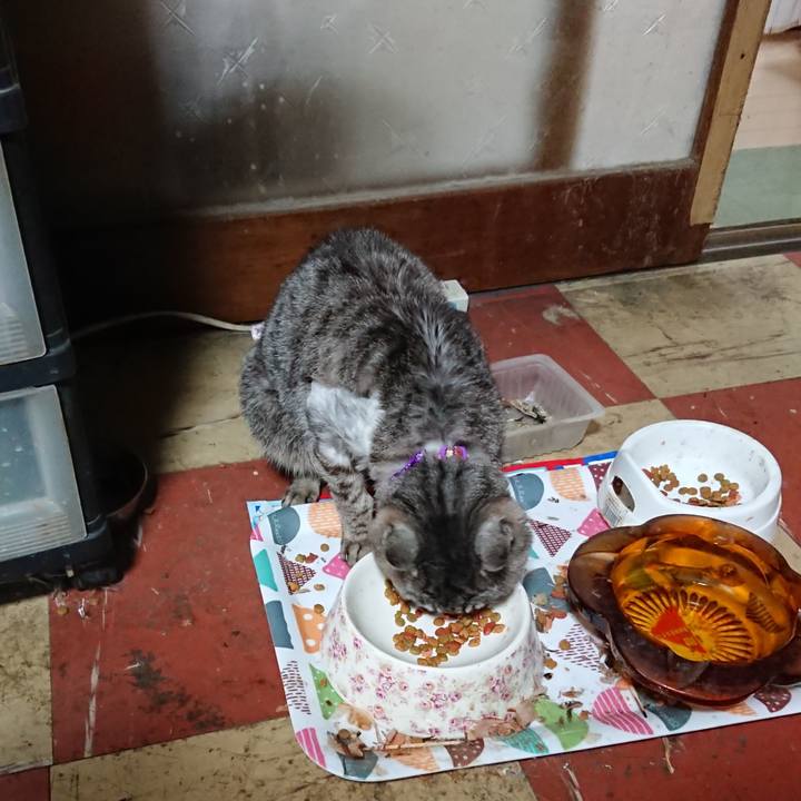 49772c95 8c1e 469a bb04 e4a83b793831 1591608099017