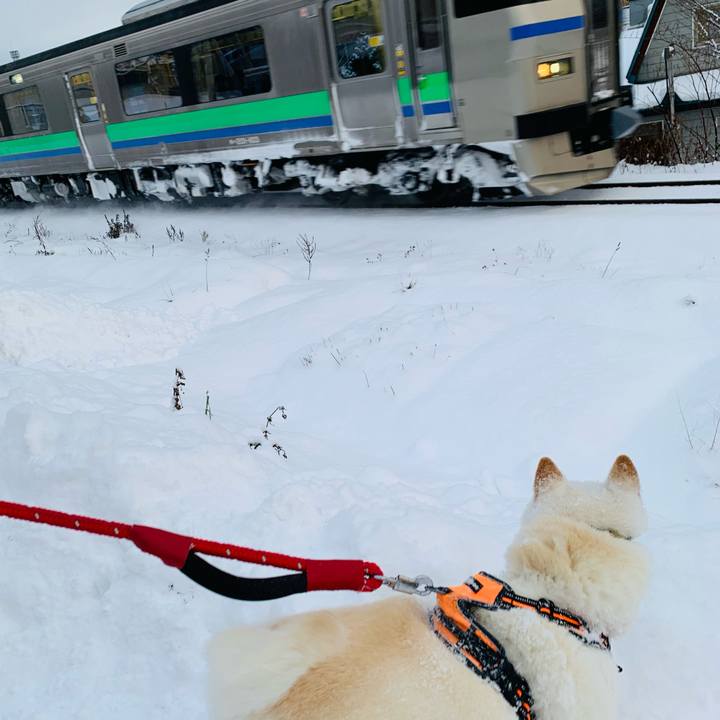 4977547f d356 4b68 a0a2 3708692c8c9d 1670020542662