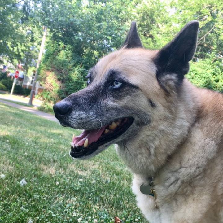 49776961 5cd1 458a 83d6 4f3ca6073277 1563936975313