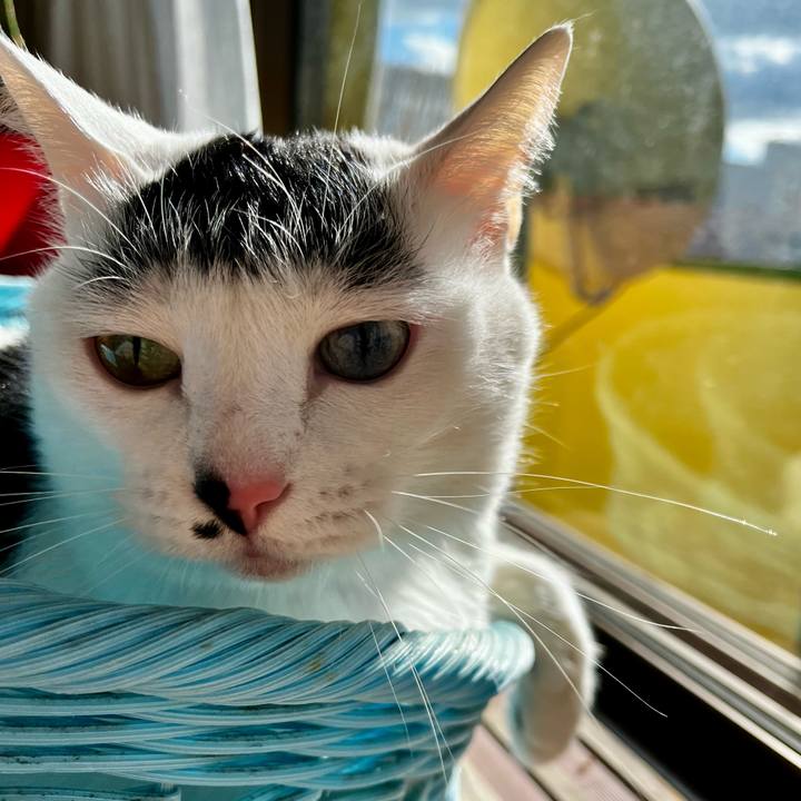 49777d77 7e4e 4742 b152 eb94d26eec6f 1766887713439