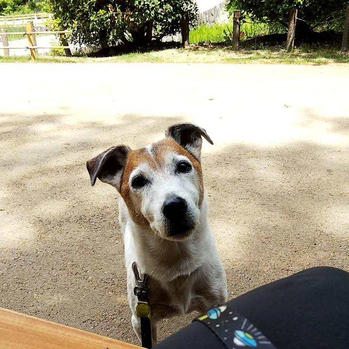 4977bb1e fb8f 4a51 893b e9c49c668ad9 1558250222447