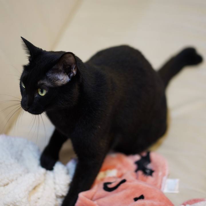 4977d42b 1edc 4354 a8f9 f51d25fff756 1576935136012