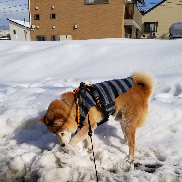 4977f541 c681 4187 87c0 a9f55a188b07 1612165821766