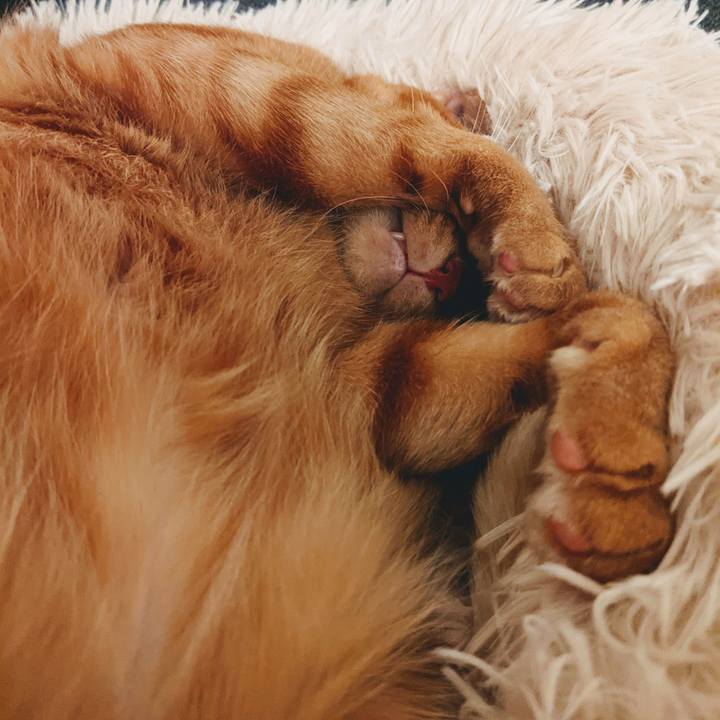 49780ebc efcc 479a 89bc c7c01931dfd5 1637498875959