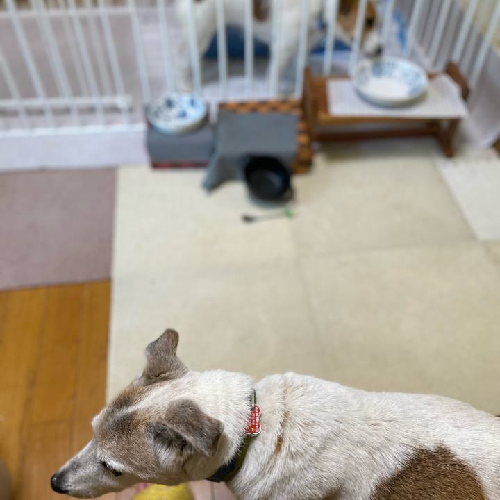 49781db3 4a0b 47fc 9192 d76ebcb3ae22 1718144297040