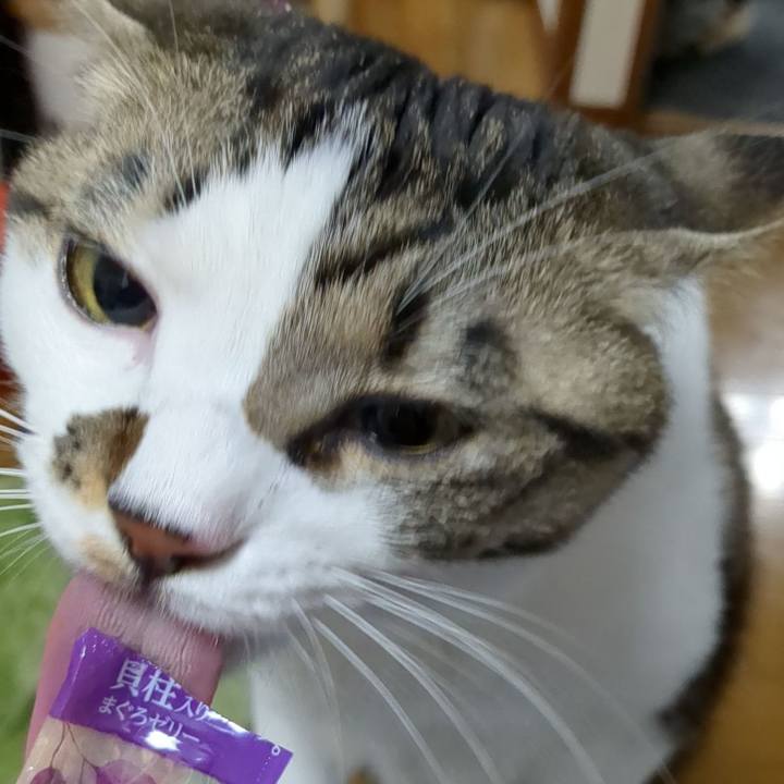 497856a4 9eea 4237 aae1 6906791fa670 1674644156450