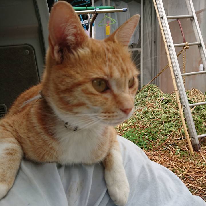 49789836 246b 44e5 bc66 91e39ddce2a2 1593311676471