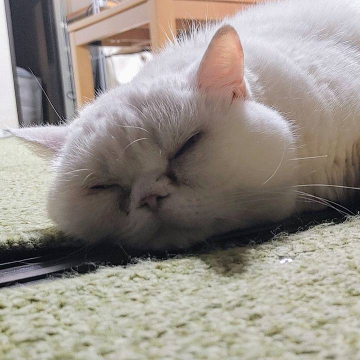 4978a512 ac0e 4947 b757 34094e12ff06 1751801315510