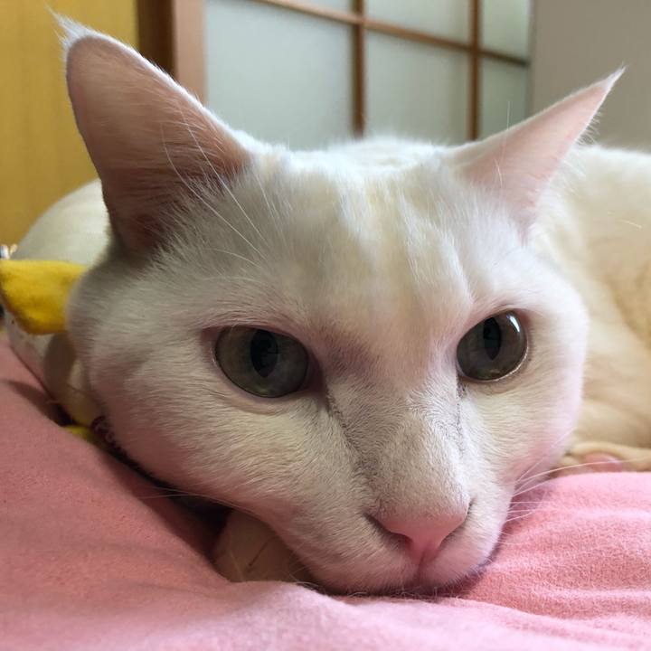 4978e648 70cc 4473 825f 94a34dbcc34b 1616819041230