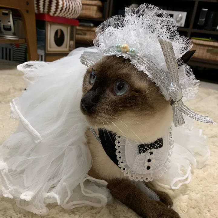 4978e902 6dbe 4f3f 8cf9 5021c74e0146 1614939735639