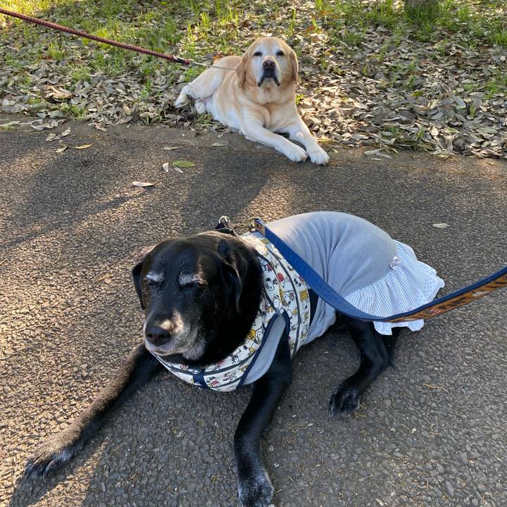 4978fb68 8a66 4f40 ba78 7e626ddcf2cb 1651615659412