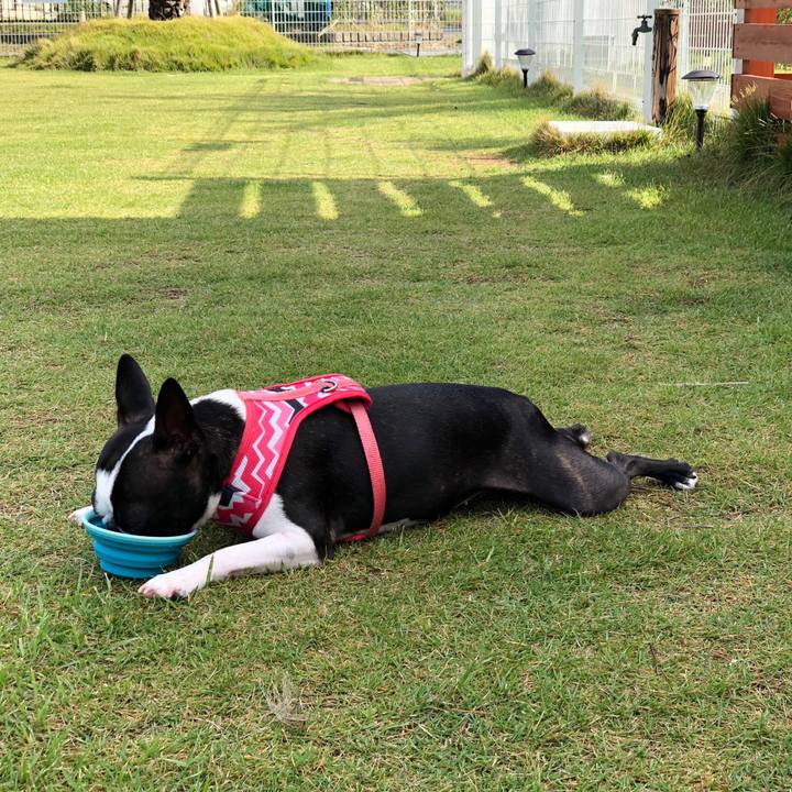 497942ab ad3e 4ffb aca8 656fa3d3fc69 1538879766542