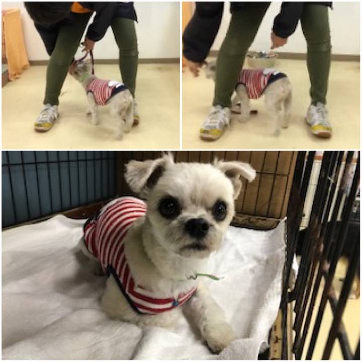 49794f26 b1d8 4d68 a1be b6f425cf417c 1575726199868