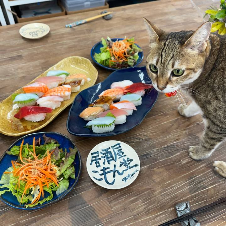 497953ff e0a7 4237 9908 d303c763ffb9 1773370753412