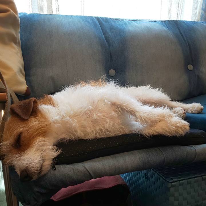 49795c13 edf5 429b b8bb e0ff85e61721 1620529723131