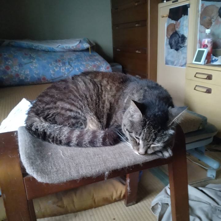 497960e9 6d6e 4c62 94e8 1f06c2bb9acf 1752743483721