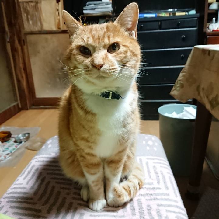 497972c2 d0a5 4bec a4a7 03c173196d5a 1608323703229