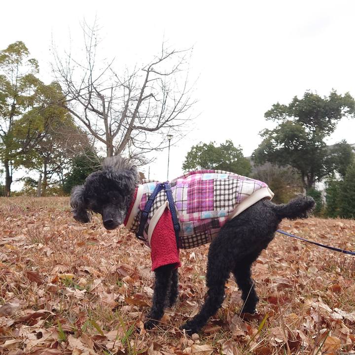 497990c2 71c3 435f 8ae0 11a67ed780dc 1765527029928