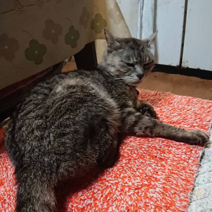 497995e2 6042 4e14 8274 7b0cb51eb8a3 1564056105334