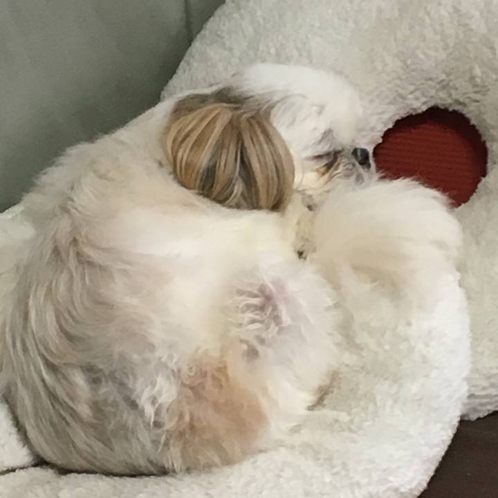 4979a121 173e 40fe a4ac fe7daa7dd839 1572414212857