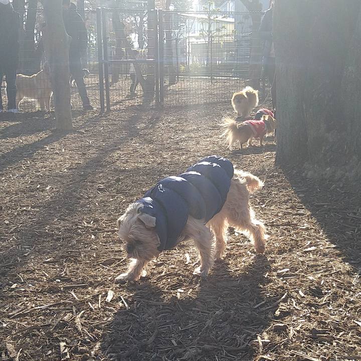 4979ff7d ef3e 4cd9 9f9c c792d40be3c3 1641719661614