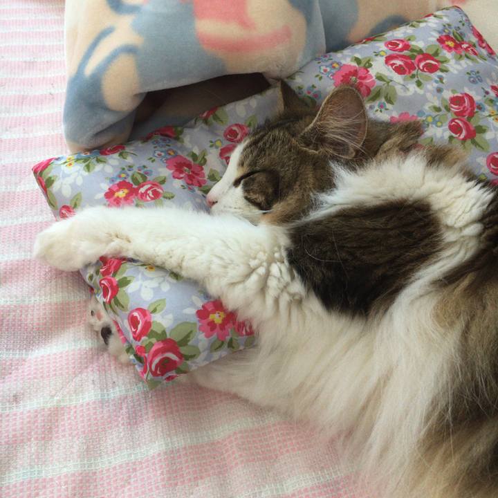 497a12db 64c8 4a53 a9ad 848f3acf2cbc 1591514028894