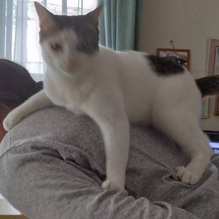 497a18a2 b98b 495e 8a87 017c75b3667a 1683344051648