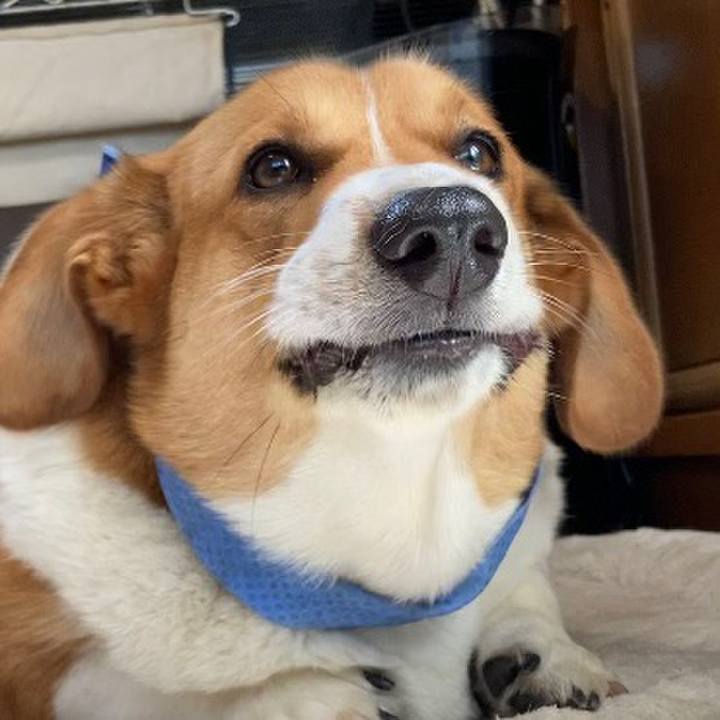 497a69fb 3dd0 477e 9918 378a6693cfd2 1656548819083