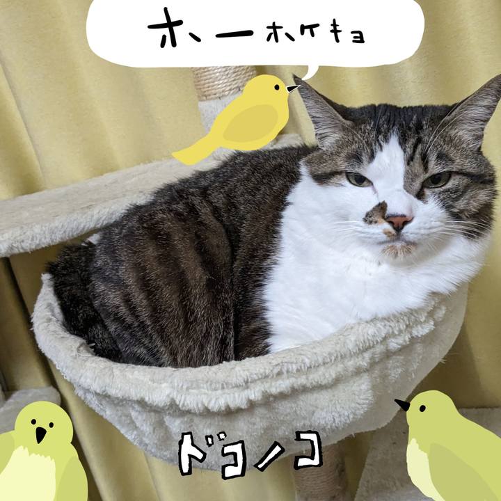 497aa49f 2491 4676 9ec4 5caf825e697e 1711022662878